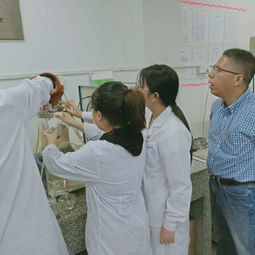 我校食品與生物工程系生物工程技術(shù)開發(fā)綜合生產(chǎn)實(shí)訓(xùn)圓滿完成